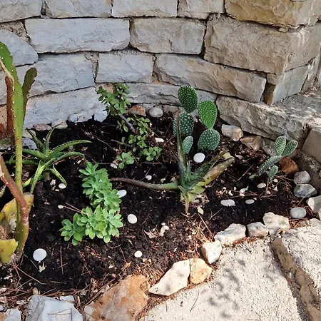 V, 4-star 2-floor 1-apartment Seaside With Great Outdoors Villa Prizba